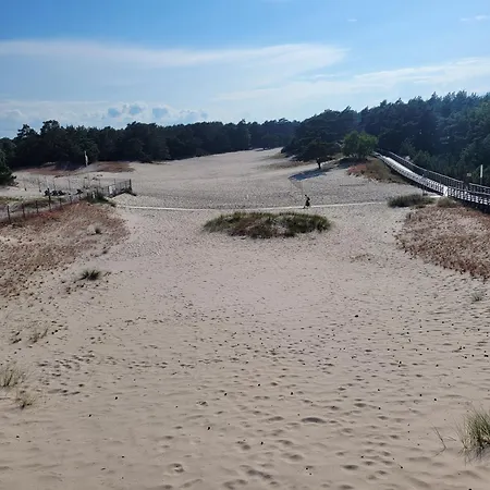 Orkan * グジボボ