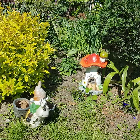 Orkan ホームステイ グジボボ